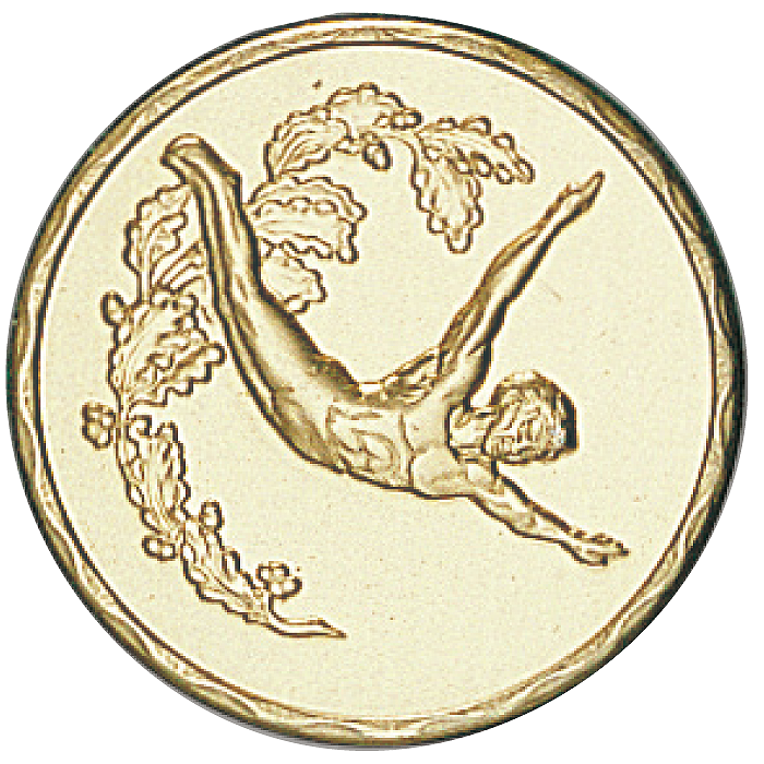 Médaille Personnalisée Ø 50 mm - 041