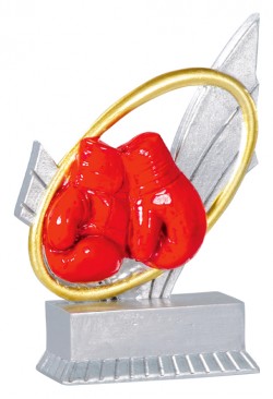 Trophée Boxe 31404