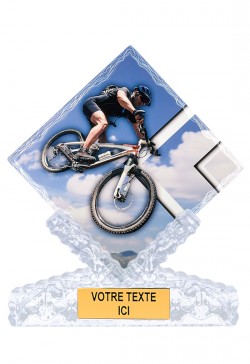 Trophée Céramique Cyclisme VTT 46107
