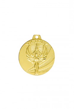 Médaille Ø 40 mm Victoire  - NE15