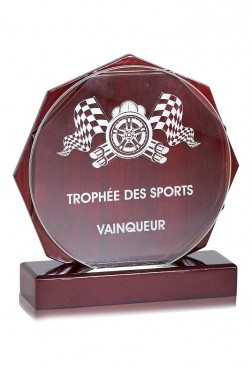 Trophée Verre/Bois Personnalisé 163-71-CLI