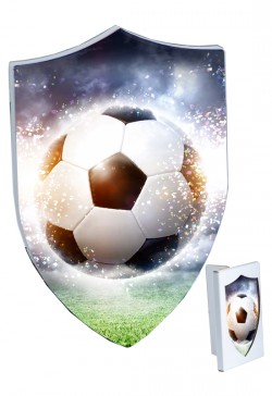 Trophée Céramique Football  23901