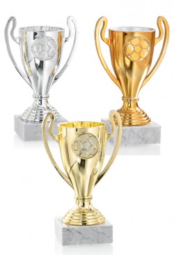 Trophée Football 0941