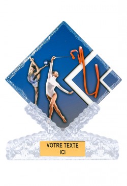 Trophée Gymnastique 46112