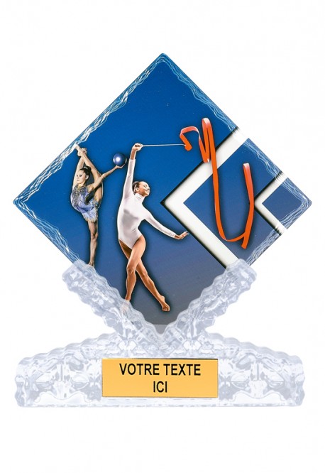 Trophée Gymnastique 46112