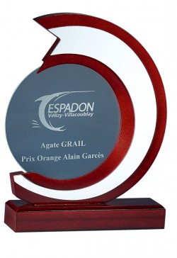 Trophée Verre & Bois Personnalisé 164-61-CLI