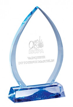Trophée Verre Personnalisé 173-31-CLI