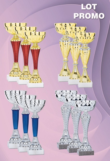 Lot de 12 Coupes : 2026-1