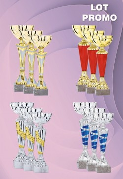 Lot de 12 Coupes : 2026-5