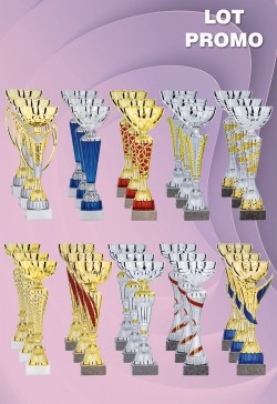 Lot de 30 Coupes : 2026-8