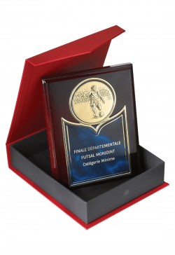 Plaque de distinction : 185-81C