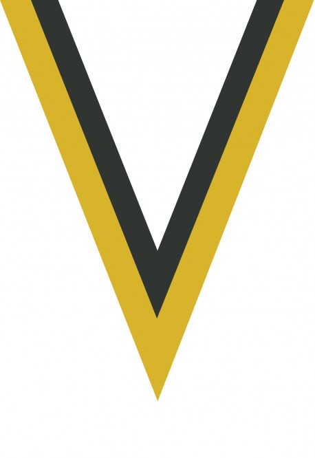 Ruban Médaille  Jaune/Noir : 6034