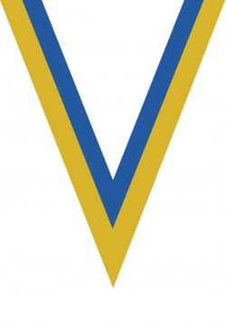 Ruban Médaille  Jaune/Bleu  : 6036