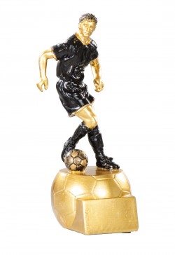 Trophée Football 71511