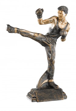Trophée Boxe Française 52558
