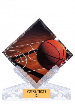 Trophée Basket 46101