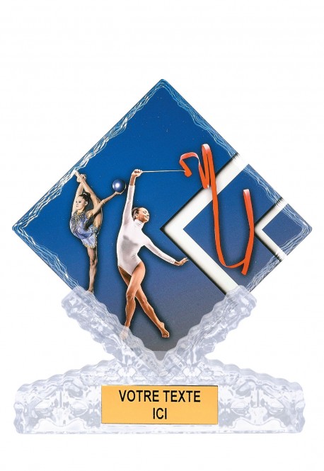 Trophée Gymnastique 46112