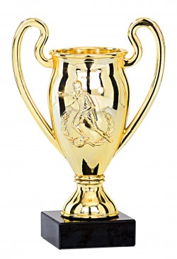 Trophée Football 8311