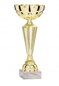 Coupe Économique Métal : 1561