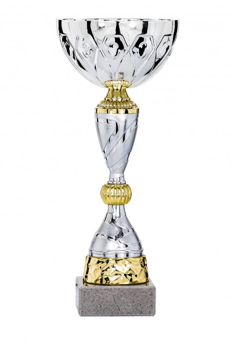 Coupe Économique Métal : 2101