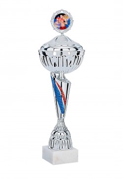 Coupe Personnalisée Métal : 3351W-C