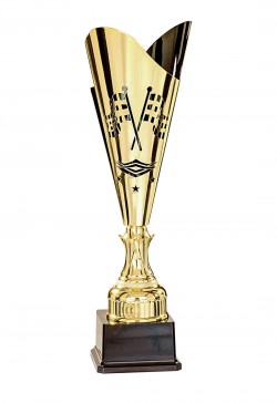 Coupe Laser Métal Automobile  : 35501