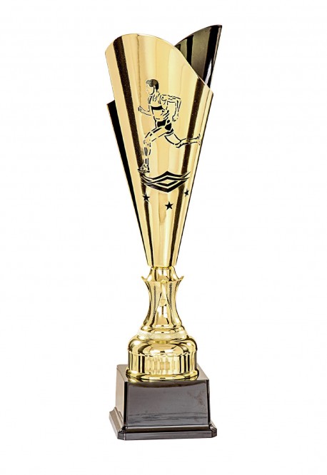 Coupe Laser Métal Course à pied  : 35504-1