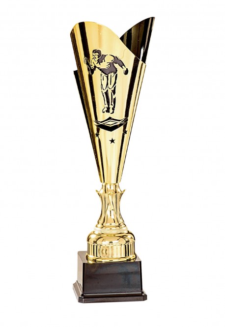 Coupe Laser Métal Pétanque  : 35512