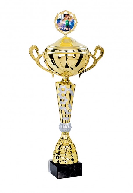 Coupe Personnalisée Métal : 4181W-C