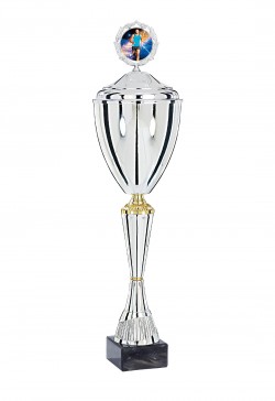 Coupe Personnalisée Métal : 4221W-C