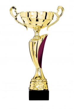 Coupe Classique Métal : 4301