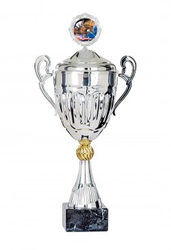 Coupe Personnalisée Métal : 5781W-C