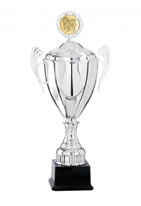 Coupe Personnalisée Métal : 5821W-C