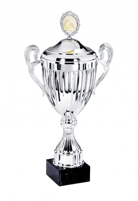 Coupe Personnalisée Métal : 6151W-C