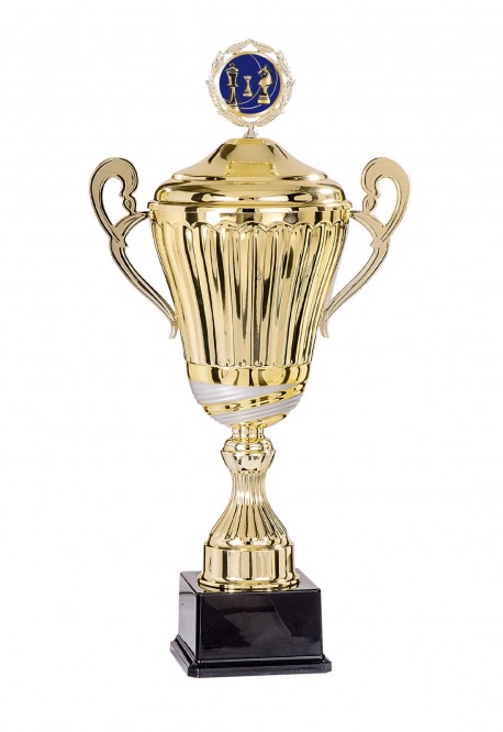 Coupe Personnalisée Métal : 6431W-C