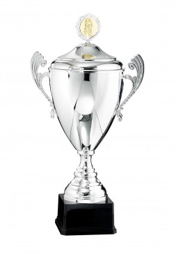 Coupe Personnalisée Métal : 6521W-C