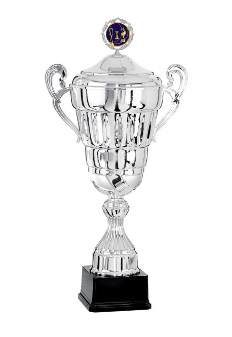 Coupe Personnalisée Métal : 6701W-C