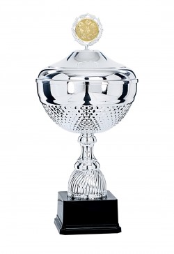 Coupe Personnalisée Métal : 6871W-D