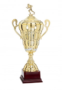 Coupe Personnalisée Métal : 7501W-D