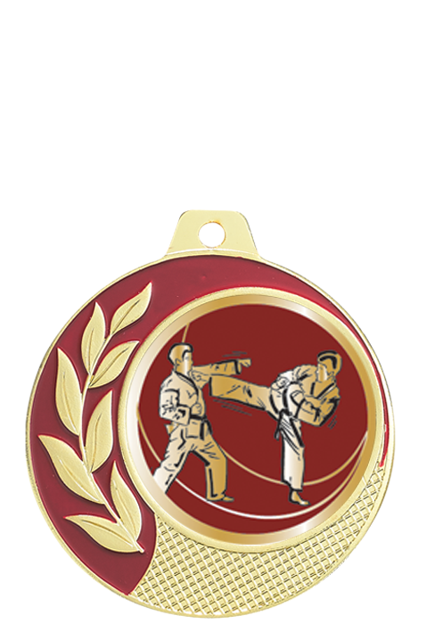 Médaille Ø 70 mm Karaté  - CZ17