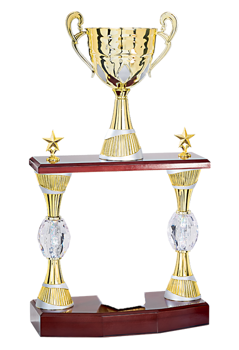 Trophée Personnalisé Figurine 147-51-RM