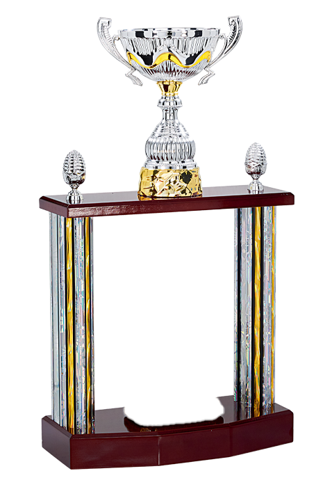 Trophée Personnalisé Figurine 148-91-RM