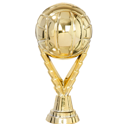 Trophée Personnalisé Figurine 143-01-D