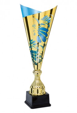 Coupe Laser Métal : 3881