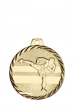 Médaille Ø 50 mm Karaté  - NZ11