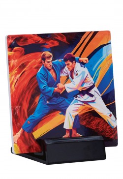 Trophée Judo 47504