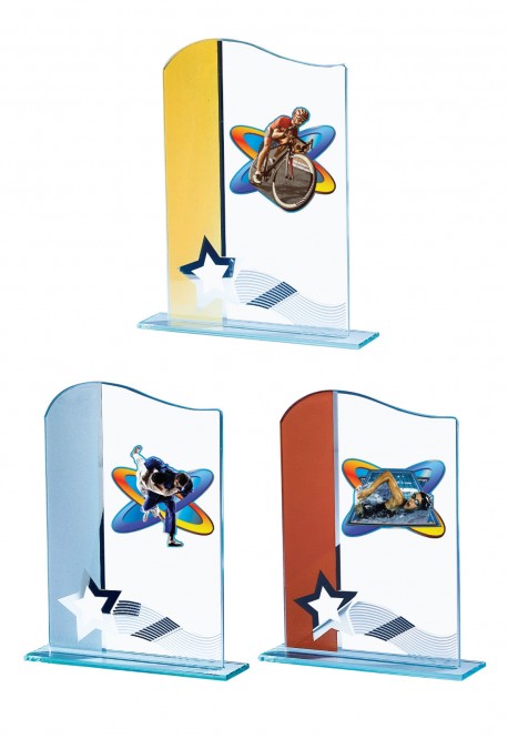 Trophée Verre Personnalisé 124-11-BJ