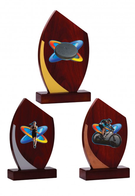 Trophée Bois Personnalisé 125-41-BJ