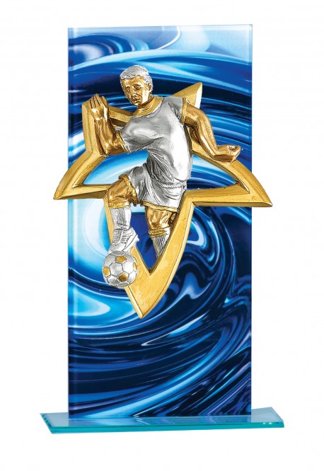 Trophée Verre Personnalisé 129-31-NJ