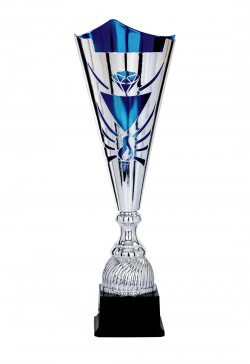 Coupe Laser Métal : 4021